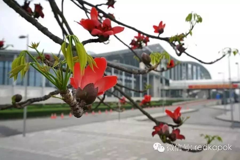 1552624324518317.jpg 1.jpg