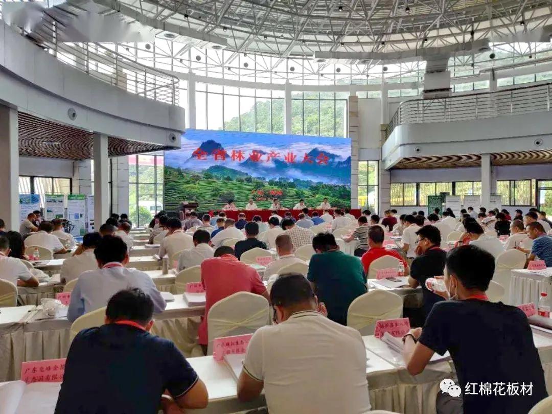 1598232347763923.jpg 现场.jpg