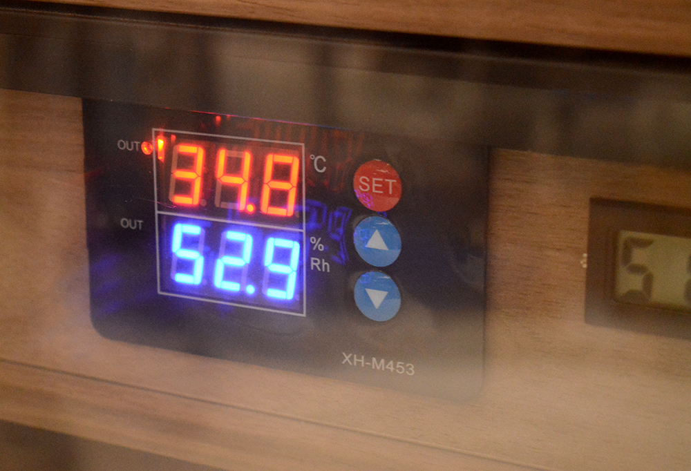 1629446285223939.jpg 展位照片 (3).JPG