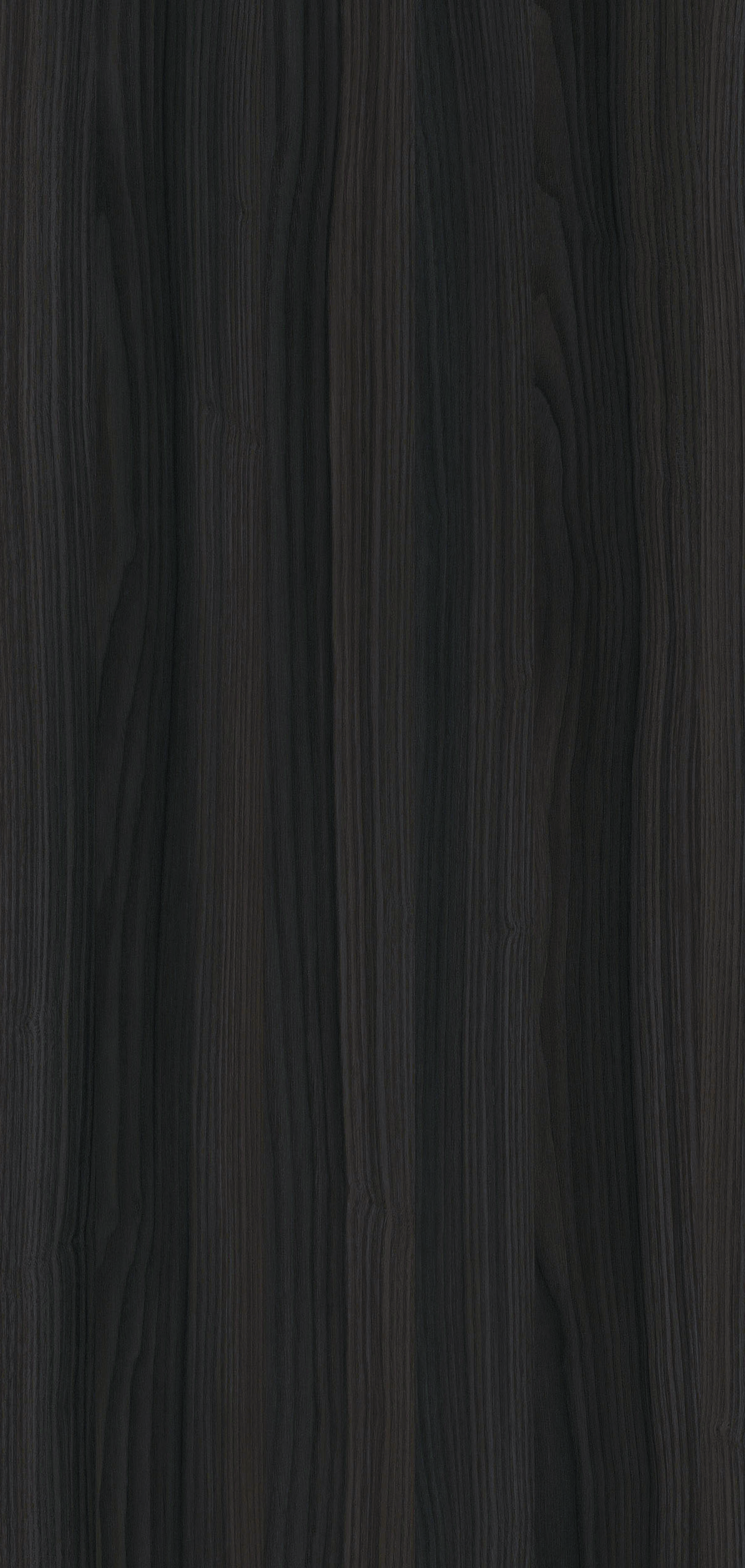 YDH402  阿尔巴橡木