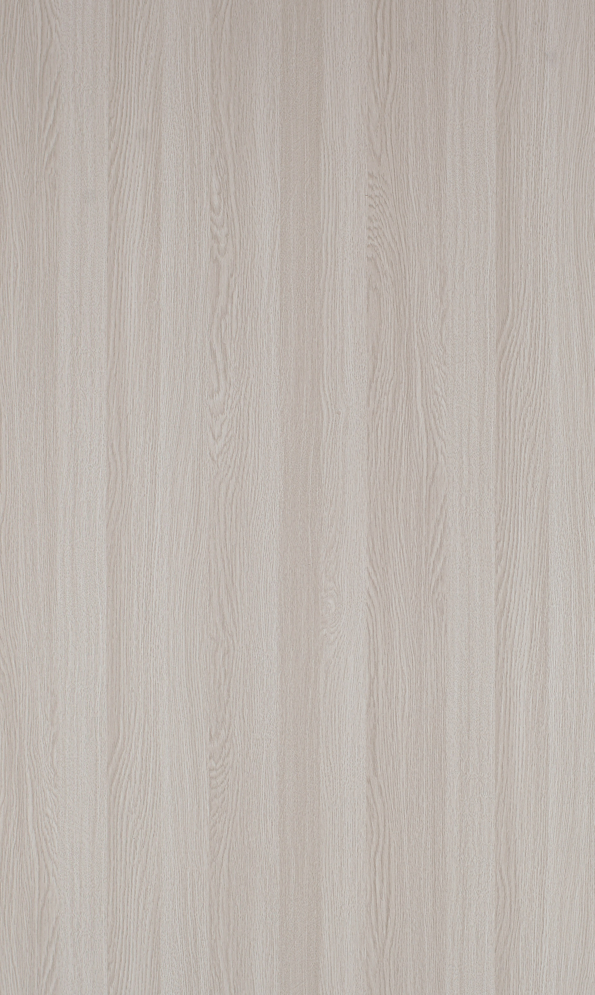 YDH305   经典榆木