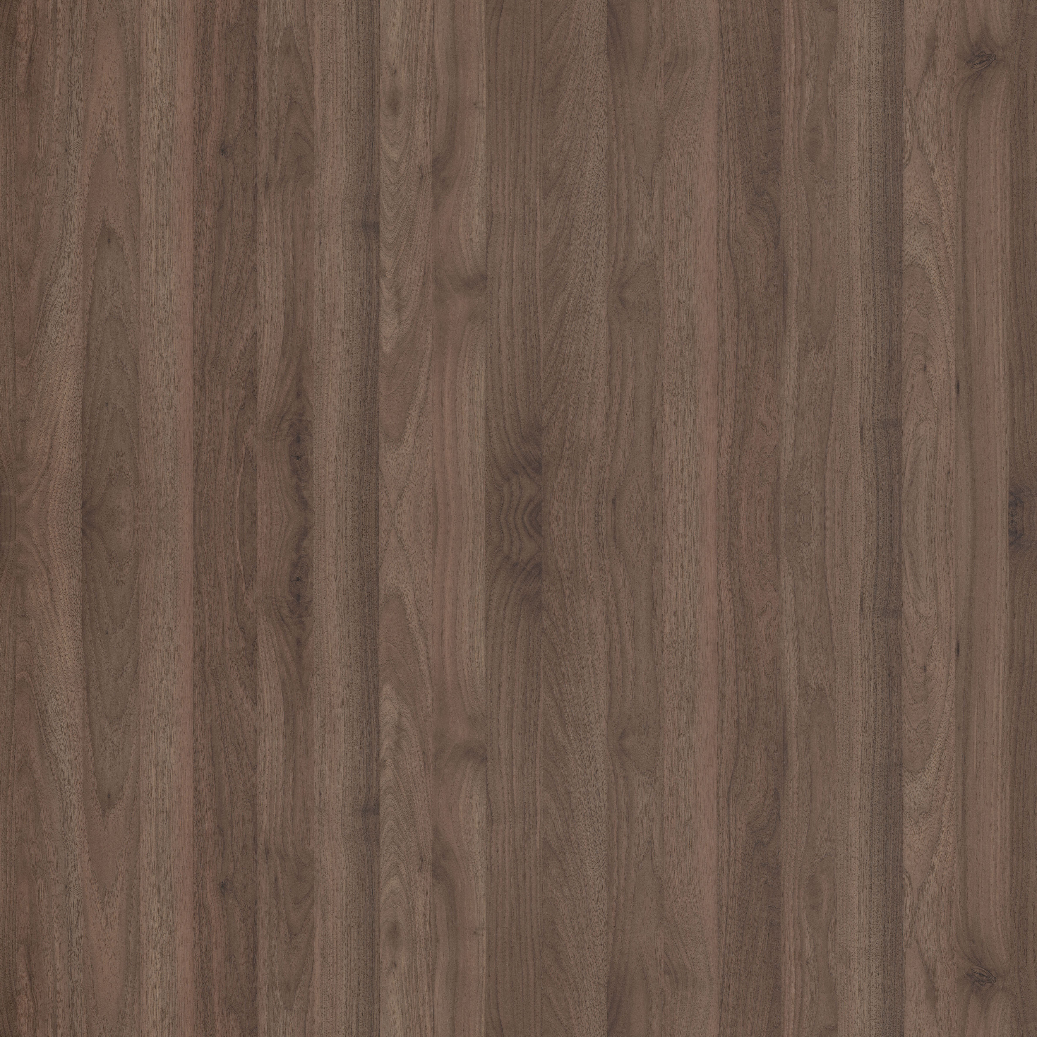 YDH331  圣玛丽胡桃