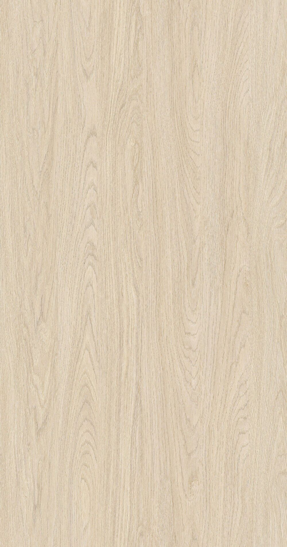 YDH343  丝缕橡木