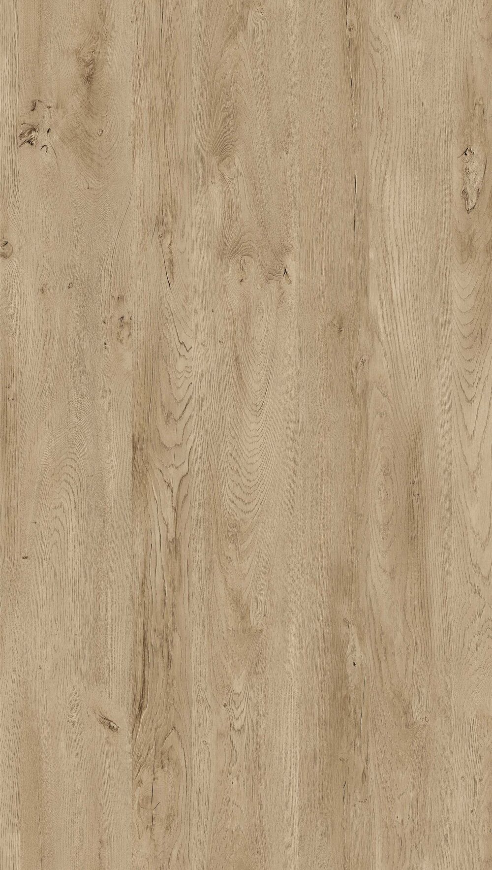 YDH344  千语橡木