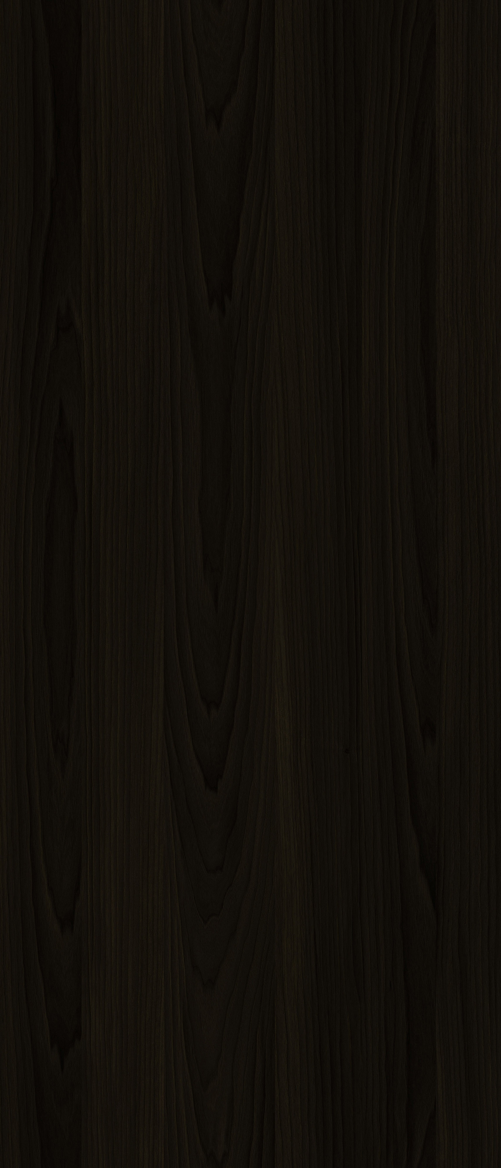 YDHTB1222 拉齐奥胡桃