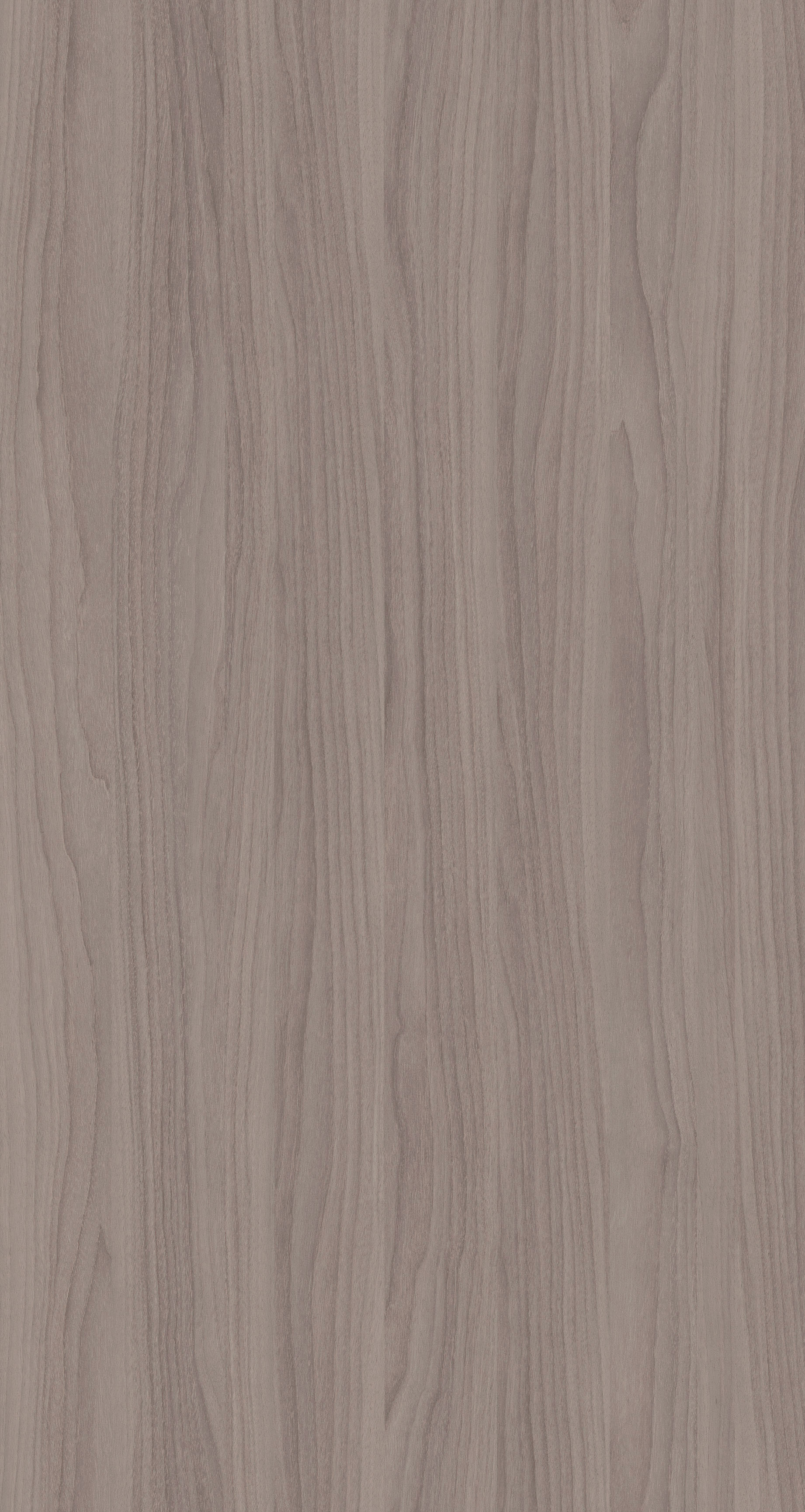 YDHTB1111  波特兰胡桃 