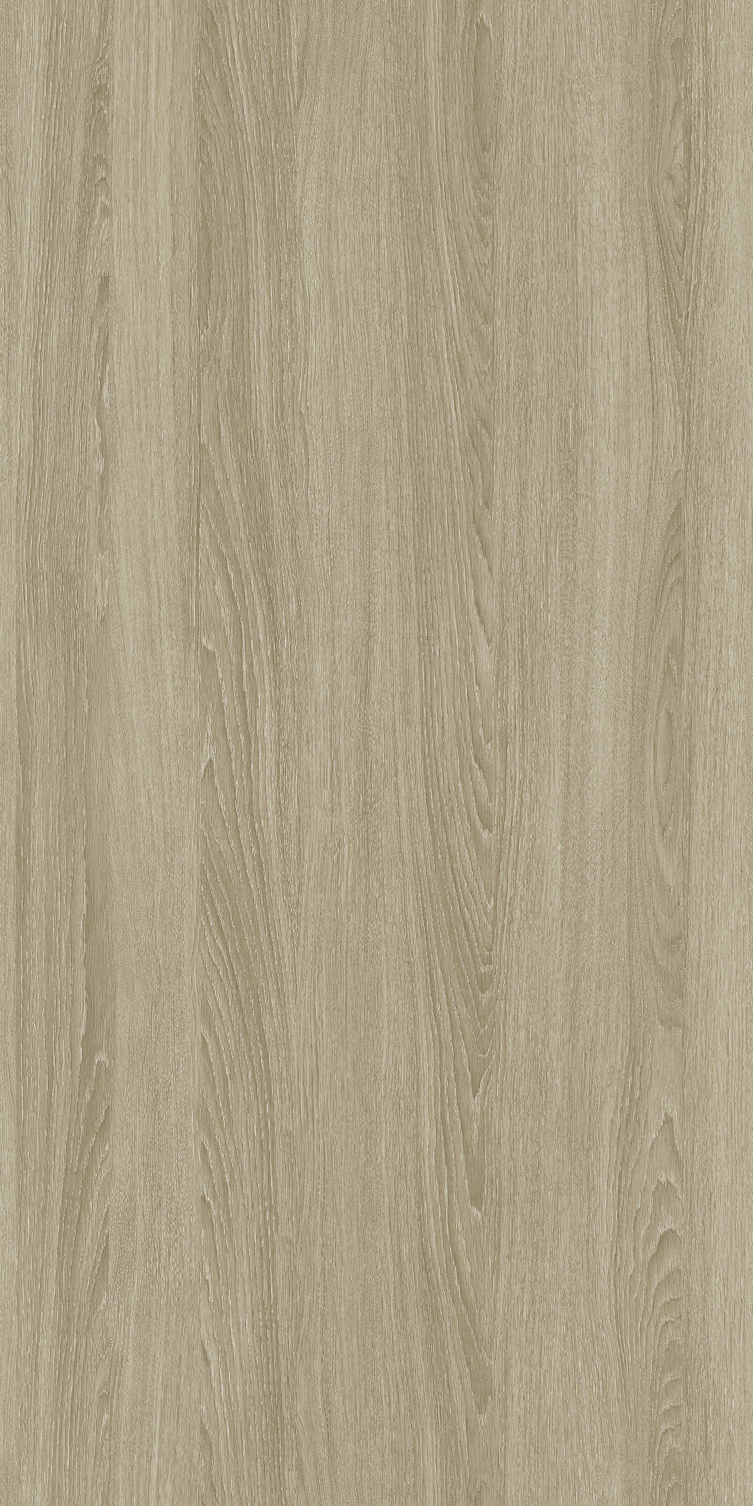 YDH547  里泽橡木  