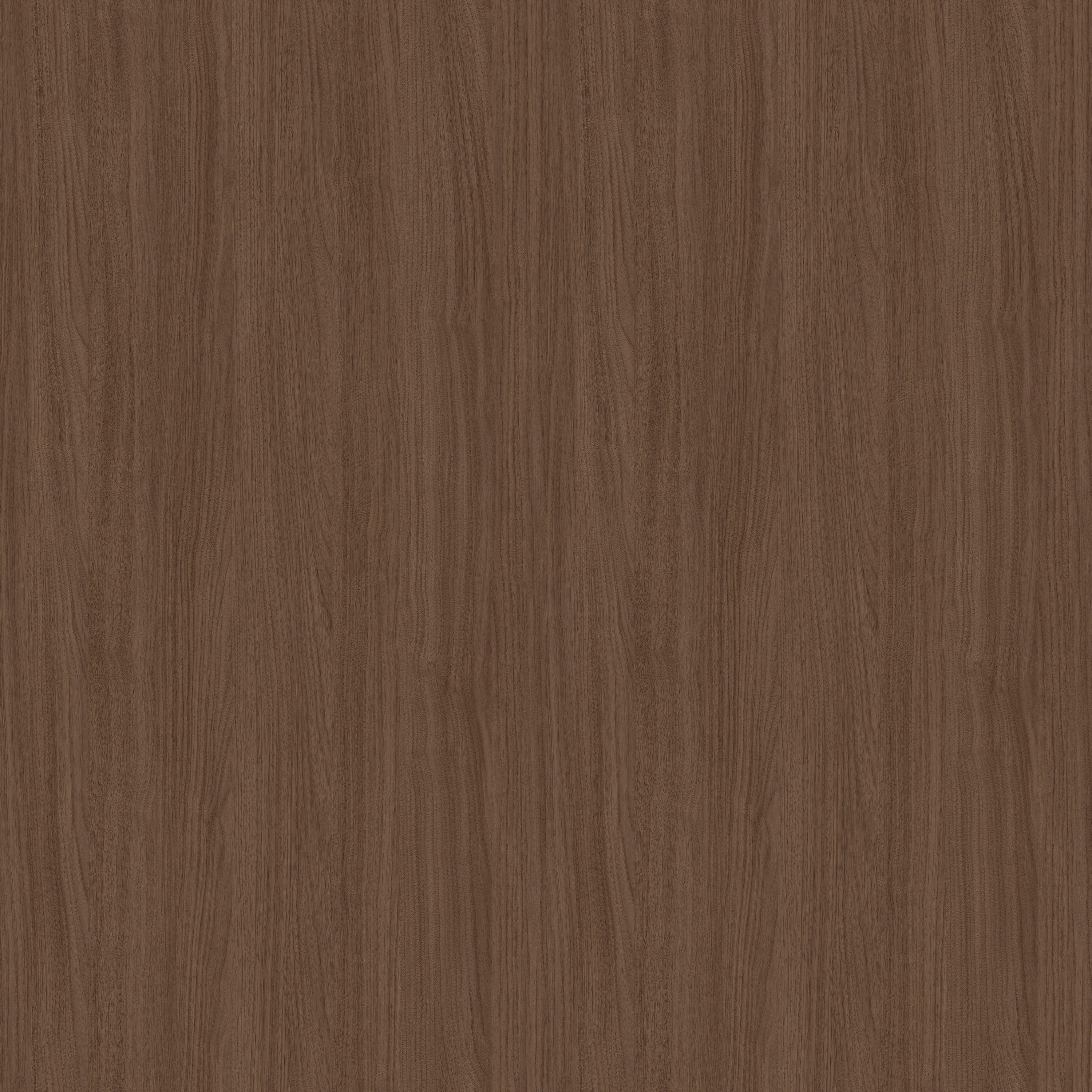 YDH561  普达措胡桃