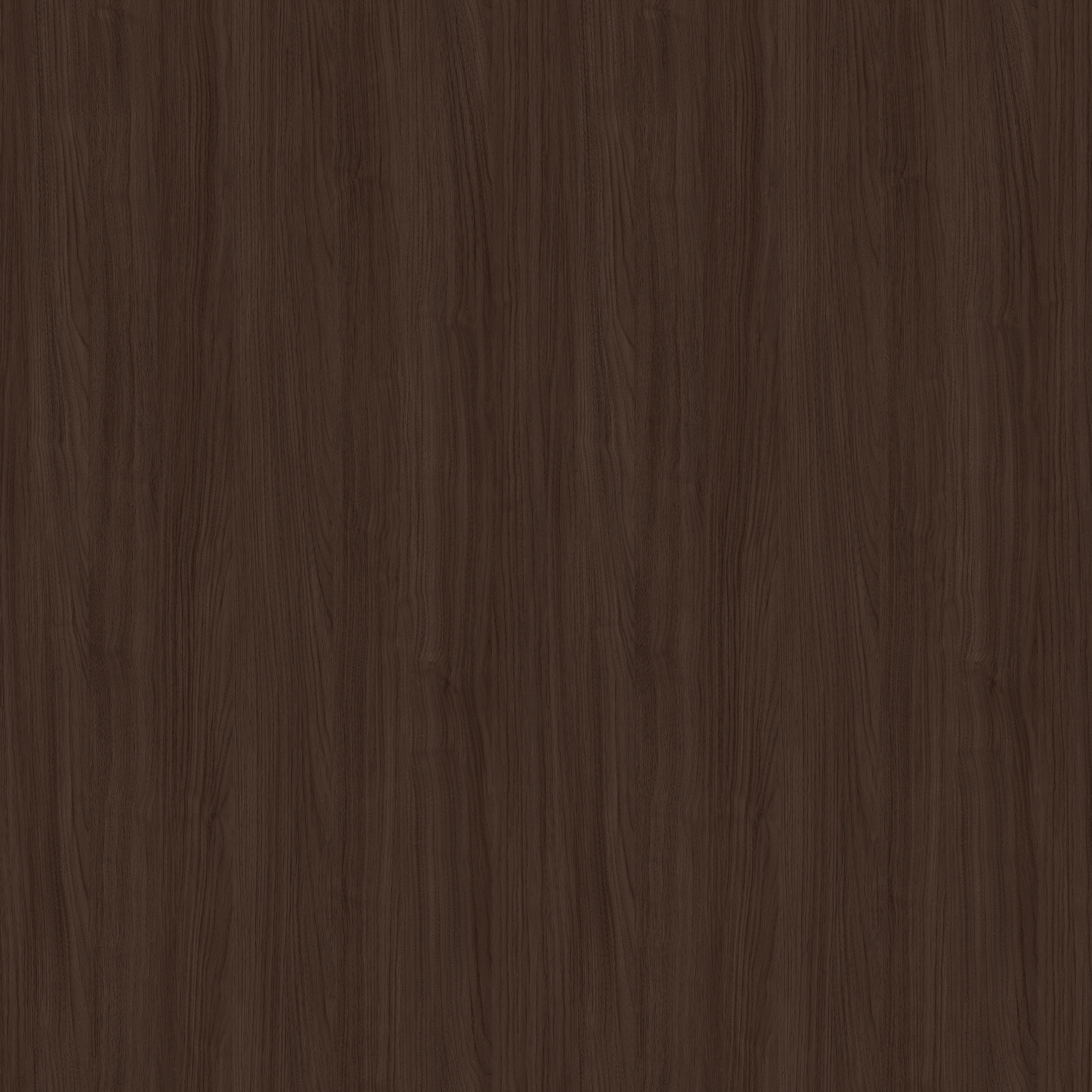 YDH563  普达措胡桃